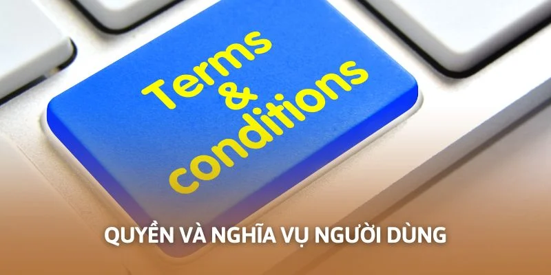Quyền và nghĩa vụ người dùng